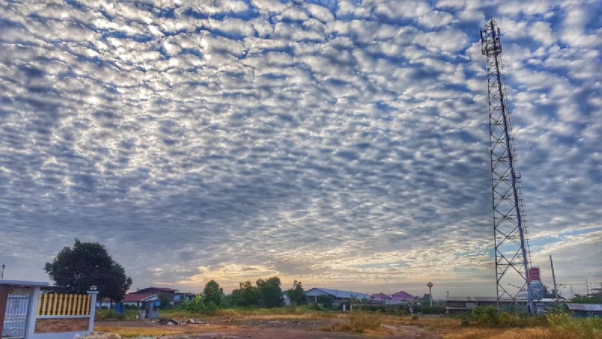 ที่สุดของความแปลกประหลาด!! เมฆรวมตัวคล้าย "หมูสับ" ปกคลุมเต็มท้องฟ้า เป็นความสวยงามทางธรรมชาติอีกแบบที่หาดูได้ยาก