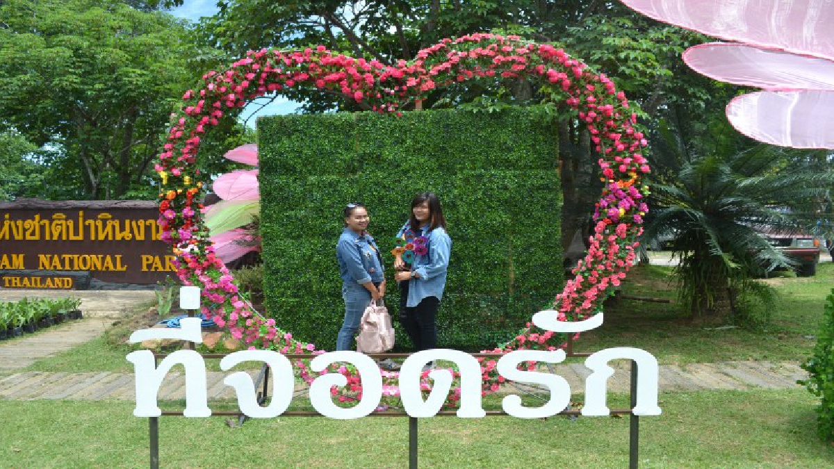 ผู้ว่าฯชัยภูมิ เปิดงาน ทุ่งดอกกระเจียวบาน อย่างยิ่งใหญ่ ปปช.ให้ความสนใจอย่างมาก (มีคลิป)