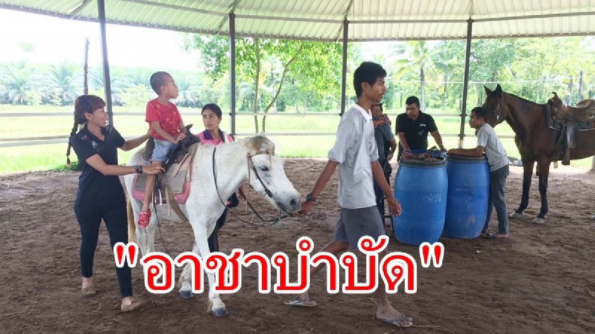 เป็นความหวังของพ่อแม่! อ.พุนพิน ใช้เทคนิคอาชาบำบัด ช่วยบรรเทากล้ามเนื้อยึด และสร้างกล้ามเนื้อให้กับเด็กพิเศษ (มีคลิป)