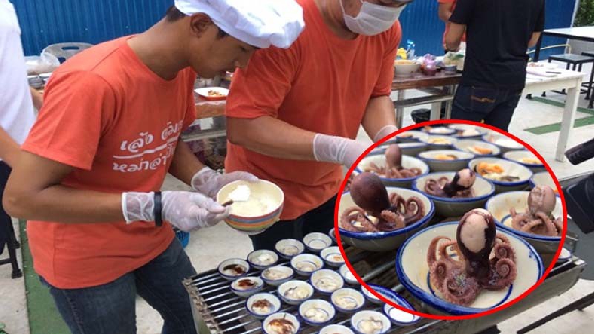 นักกินห้ามพลาด "ซีฟู๊ดช็อตต่อช็อต"?! ทานอาหารทะเลแนวใหม่ นำเมนูเด็ด "ซีฟู้ดช็อต" ใส่ถ้วยใบเล็กให้ลูกค้าเลือกทานได้อย่างสมใจ!(มีคลิป)
