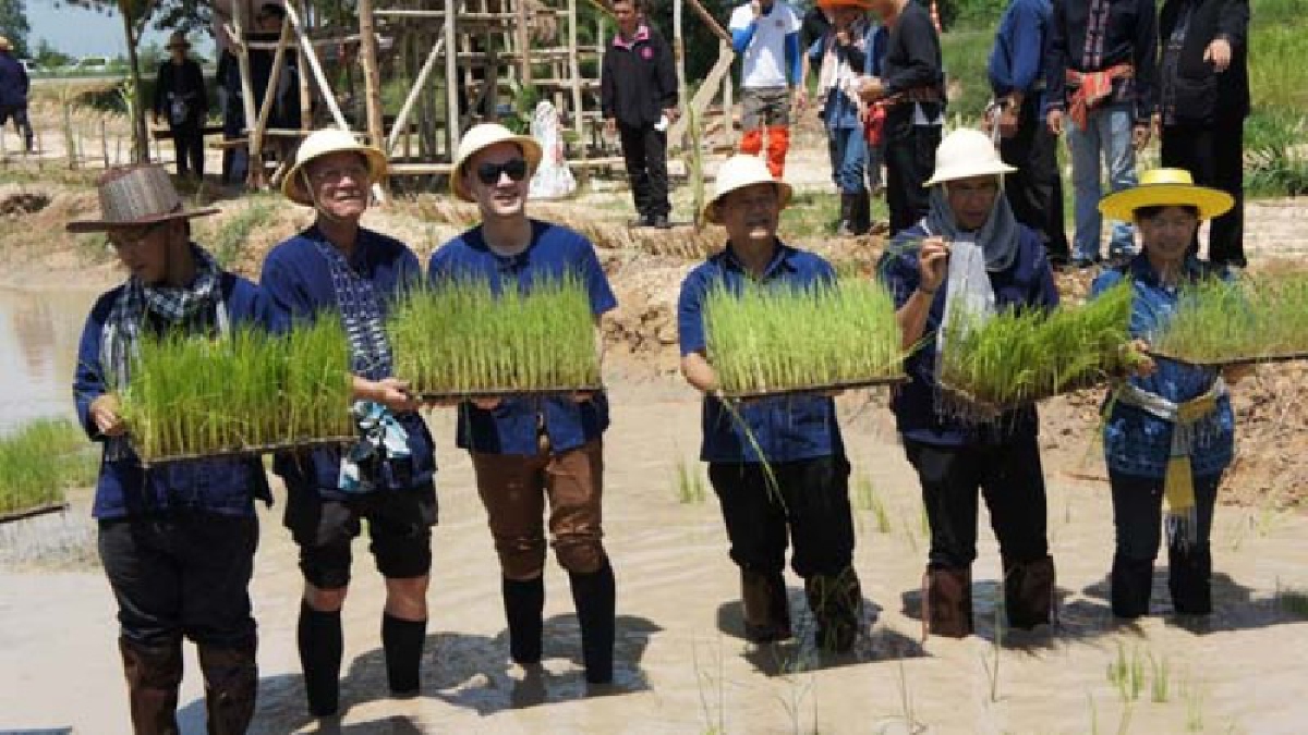 สุดคึกคัก!! ยโสธรจัดกิจกรรมลงแขกการทำนาโยนประชารัฐภายใต้โครงการ "ร่วมลงขันชวนกันไปทำนา" เพื่อรณรงค์ให้ผลิตและบริโภคสินค้าเกษตรอินทรีย์(คลิป)