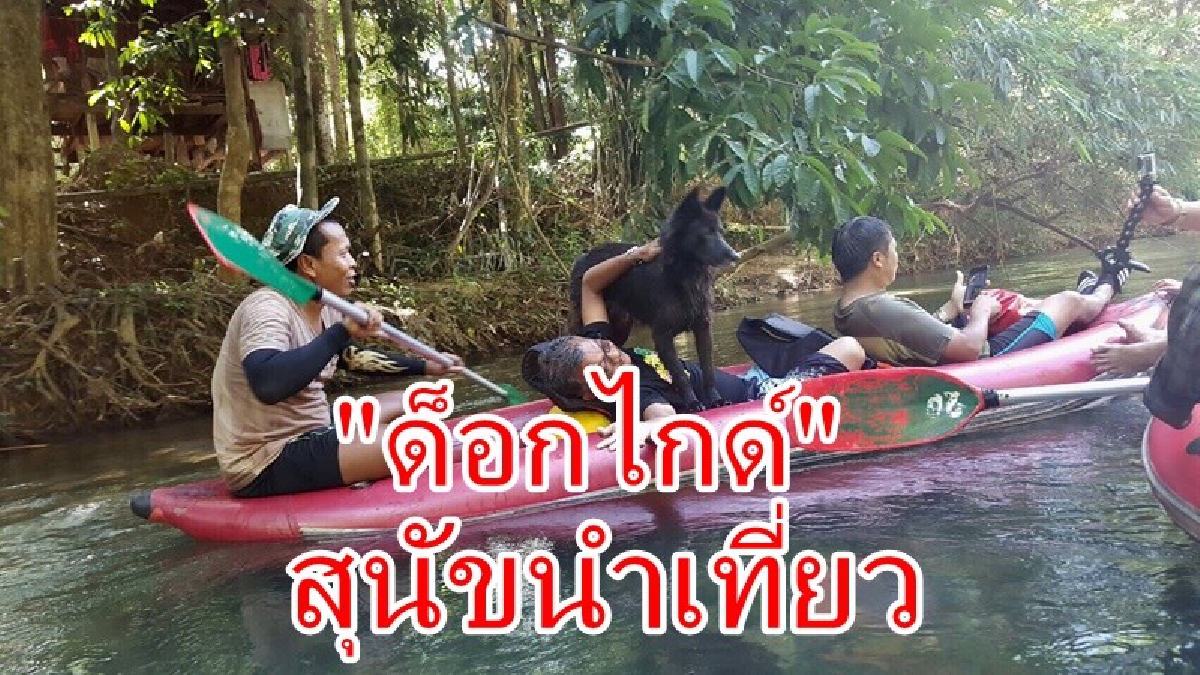 งานนี้ต้องไปดู!!!  เจ้าคอฟฟี่ "ด็อกไกด์" แห่งลุ่มน้ำคลองศก "สุนัขนำเที่ยว" ล่องเรือเรือยางอย่างสนุกสนานที่อุทยานแห่งชาติ (มีคลิป)
