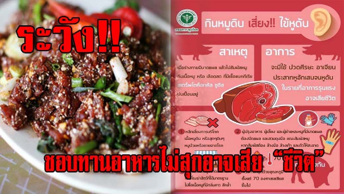 ชอบทานของ "ดิบ" ระวังเอาไว้!! พบคนที่ชอบทาน "หมูดิบ" ติดโรคหูดับเสียชีวิตแล้ว10ราย ป่วยสาหัส305ราย และเสี่ยงป็นอัมพาตครึ่งซีก (คลิป)