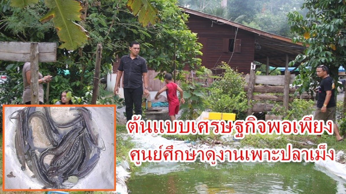 หากินไม่ง่าย!! "ปลาเม็ง"ปลาถิ่นแห่งเดียวในประเทศไทย ผู้ใหญ่บ้าน อ.บ้านนาเดิม เพาะเลี้ยงได้สำเร็จ ต้นแบบเศรษฐกิจพอเพียง(ชมคลิป)