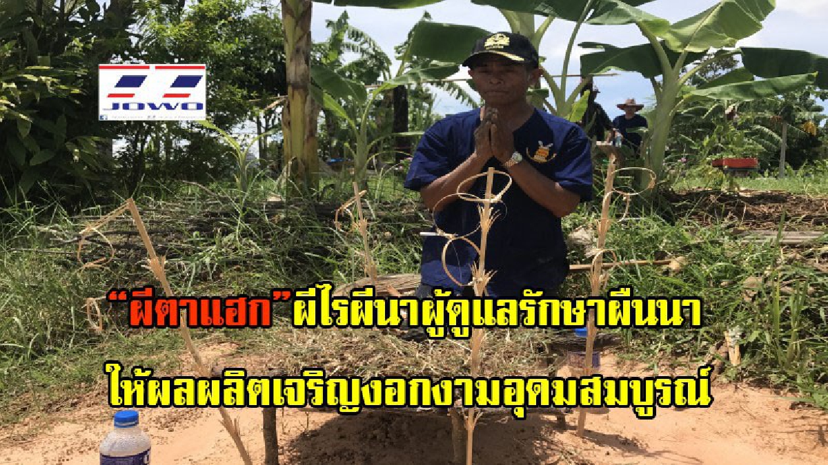 “ผีตาแฮก” พิธีกรรมศักดิ์สิทธิ์ วิถีเกษตรธรรมชาติ ภูมิปัญญาท้องถิ่น ในการผลิตอาหารที่บริสุทธิ์ (มีคลิป)