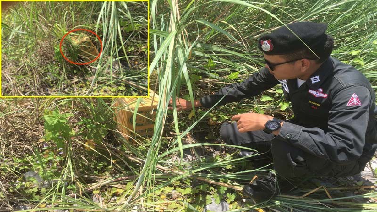 ตชด.245 หนองคาย ตรวจยึดกัญชาแห้งอัดแท่ง แอบซุกซ่อนริมฝั่งโขงเตรียมลำเลียงเข้าประเทศ จำนวน 10 กิโลกรัม (มีคลิป)