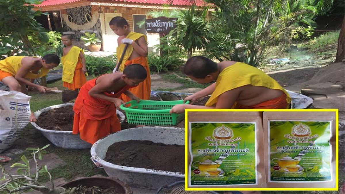 สวนกระแสวัดรับเงินทอน “วัดปากคลอง”จำหน่ายชาเขียวข้าวหอมมะลิ ดูแลสุขภาพ สืบสานเศรษฐกิจพอเพียงตามรอยพ่อ (มีคลิป)