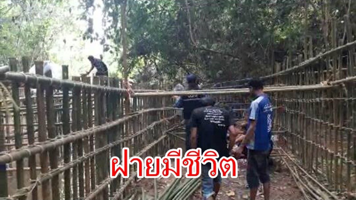ร่วมแรงร่วมใจ!!! ชาวบ้าน ร่วม กับเจ้าหน้าที่รัฐ รวมพลังสร้างฝายมีชีวิต เพื่อกักเก็บน้ำในฤดูน้ำหลาก และเพื่อไว้ใช้ในยามหน้าแล้ง (มีคลิป)