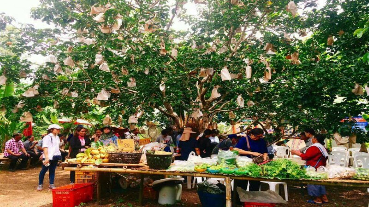 น่ายกย่อง!! กบินทร์บุรีจัดประกวด "หมู่บ้านเศรษฐกิจพอเพียงตัวอย่าง"  ตามหลักคำสอนพ่อหลวงร. ๙ ให้พอเพียงในชีวิต จิตใจ มีเหตุผล (มีคลิป)