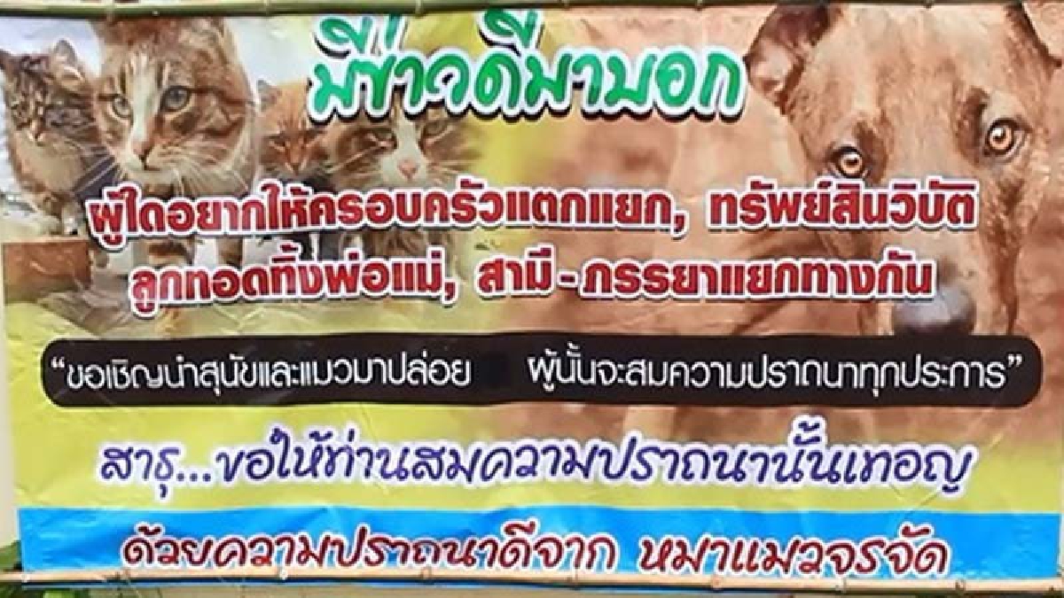 สุดจะทน!? อดีตครูเหลืออดติดป้ายประชดคนเอา "หมาแมว" ปล่อยวัด ทำเอาสะอึกกันทั้งแถบ ติดไว้เพื่อเตือนสติ!! (มีคลิป)