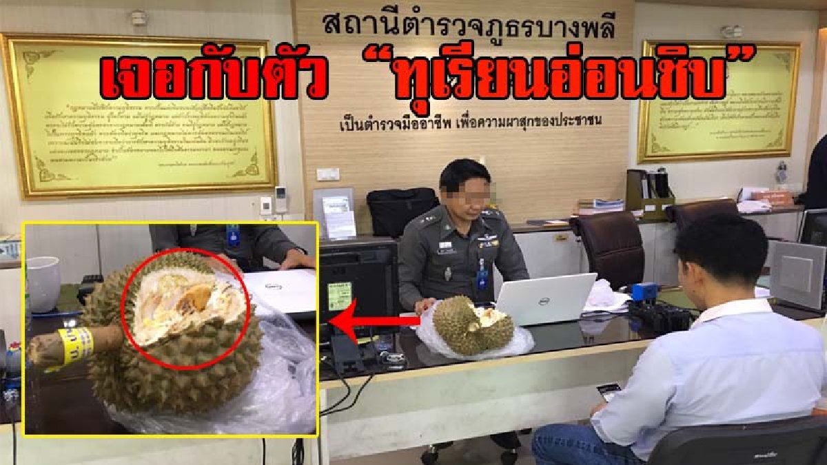 งามหน้า!? นักข่าวเจอเองของแท้ราคาถูก "อ่อนชิบทุเรียนป่าละอู" โร่แจ้งตำรวจซื้อมาจากงาน ททท.ประจวบคีรีขันธ์ เอาไปฝากญาติ แทบโดนปาหน้า!?