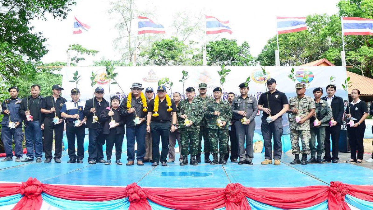 ร่วมด้วยช่วยกัน!! ผู้ว่าฯระนอง ร่วมกับข้าราชการ และประชาชน ช่วยกันปลูกต้นโกงกางที่บ้านเกาะช้าง ในโครงการปลูกป่าเฉลิมพระเกียรติ