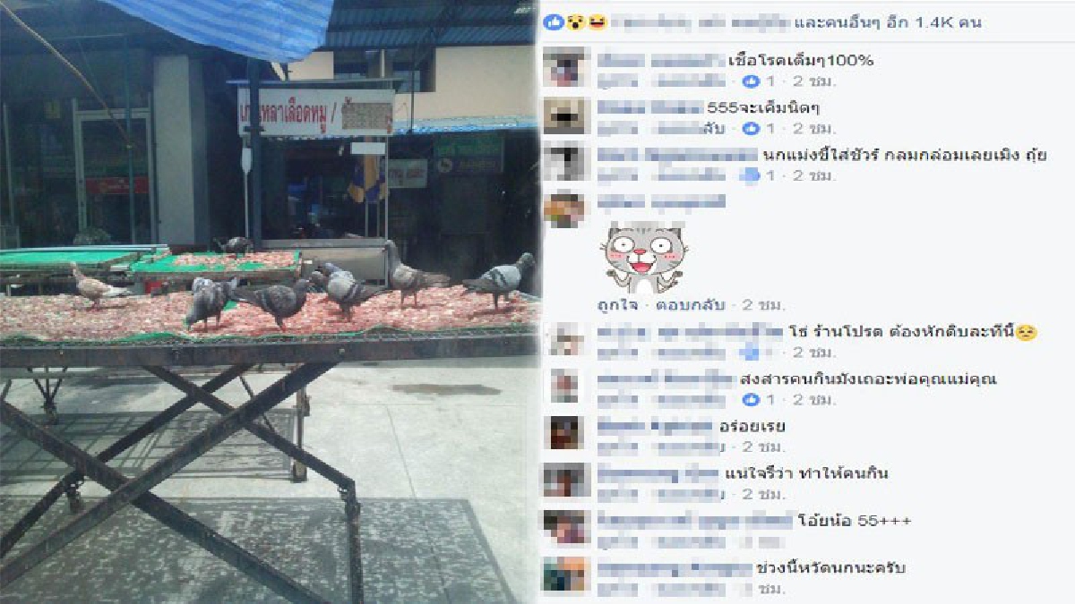 เห็นอย่างงี้แล้ว จะซื้อกินไหม?! อ้วกแทบพุ่ง โซเชียลแชร์สนั่น ข้าวเหนียวหมูแดดเดียว เจ้าดัง เต็มไปด้วยขี้นกพิราบ (มีคลิป)