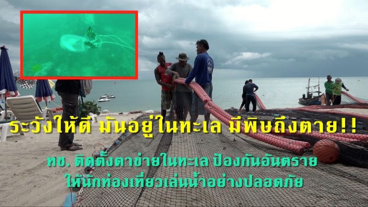 ป้องกันอันตราย!!กรมทรัพยากรทางทะเลและชายฝั่ง นำร่องติดตั้งตาข่ายปัองกัน "แมงกะพรุน" ในทะเลที่เกาะสมุย แห่งแรกของประเทศไทย (มีคลิป)