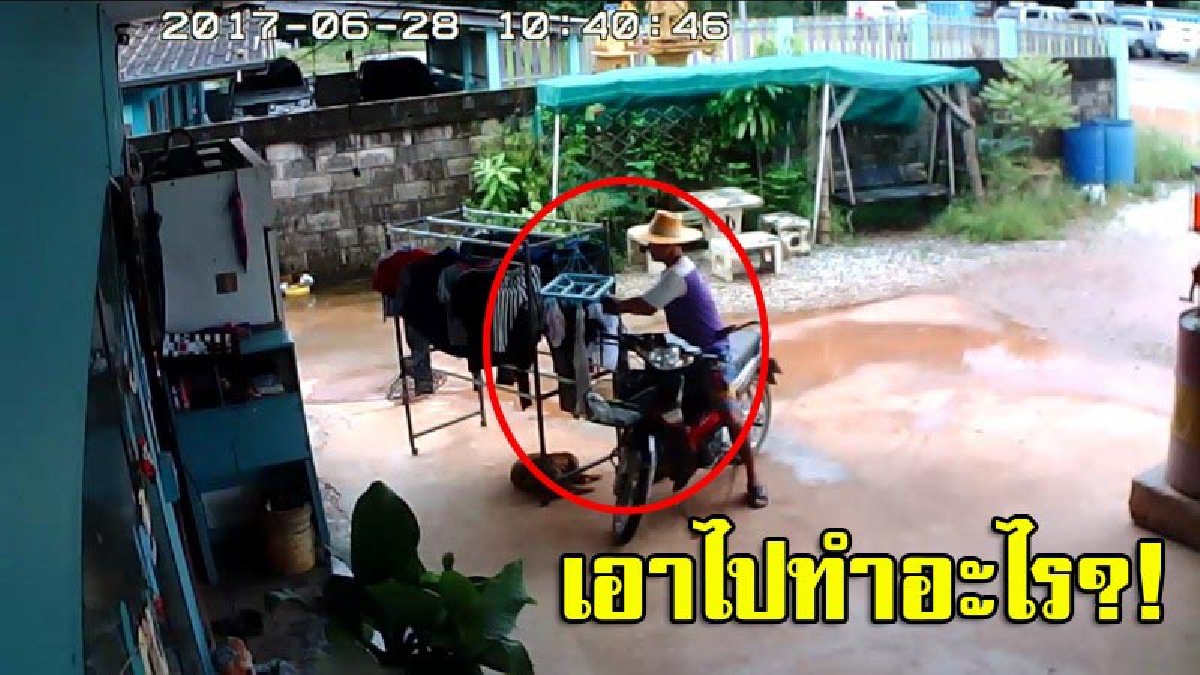 เปิดคลิปเด็ด!! วงจรปิดจับภาพโรคจิตทำเนียนมาซื้อของ สบโอกาสฉกเสื้อใน เจ้าของร้านจับได้ ยังแถ เถียงกันสนั่น (ชมคลิป)