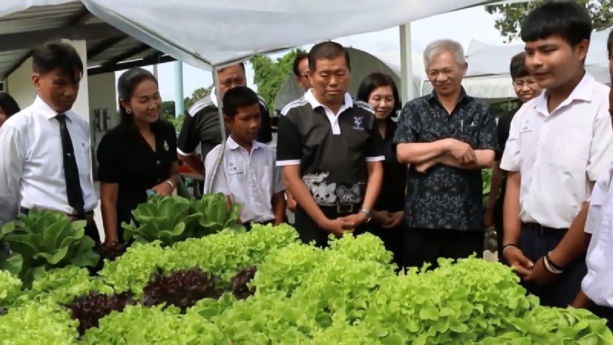 สุขภาพสำคัญที่สุด!? โรงเรียนเกาะแต้วพิทยาสรรค์ปลูกผัก "ไฮโดรโพนิกส์" ปลอดภัยโดยชีววิธี ได้ผลผลิตที่มีคุณภาพและดีต่อสุขภาพ! (มีคลิป)