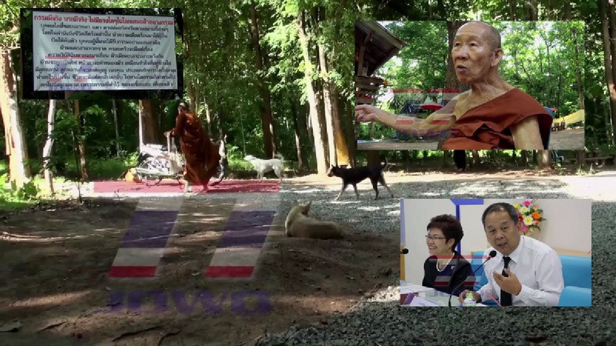 หลวงพ่อลั่นระวังบาปกรรม!! หลังมีคนนำหมาแมวปล่อยเต็มวัด ปศุสัตว์จังหวัดเตรียมทำศูนย์พักพิงสุนัขจรจัดพร้อมคลอด กฎหมายคนปล่อยมีโทษ(มีคลิป)