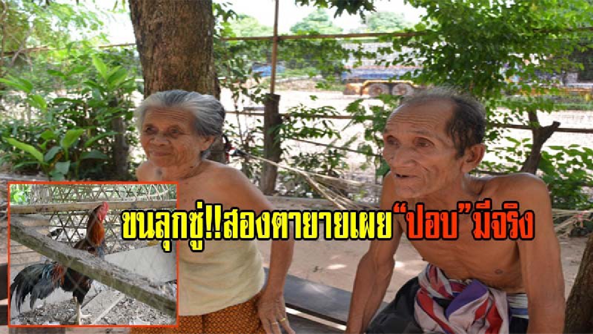 ชาวบ้านหมู่บ้านภูดานกอยยังผวา!! เชื่อปอบยังไม่หนีแม้ทำพิธี หวั่นจะมีสัตว์เลี้ยงล้มตายอีก ปศุสัตว์ยันเหตุวัวตายเพราะมดลูกทะลัก