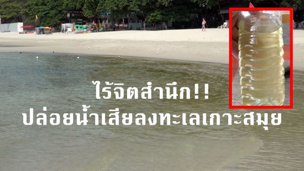 ไร้จิตสำนึก!! พบน้ำเสียปล่อยลงทะเล "เกาะสมุย" ทั้งมีสีดำ ส่งกลิ่นเหม็น โดนตัวคัน ไร้วี่แววหน่วยงานเข้ามาตรวจสอบ  (มีคลิป)