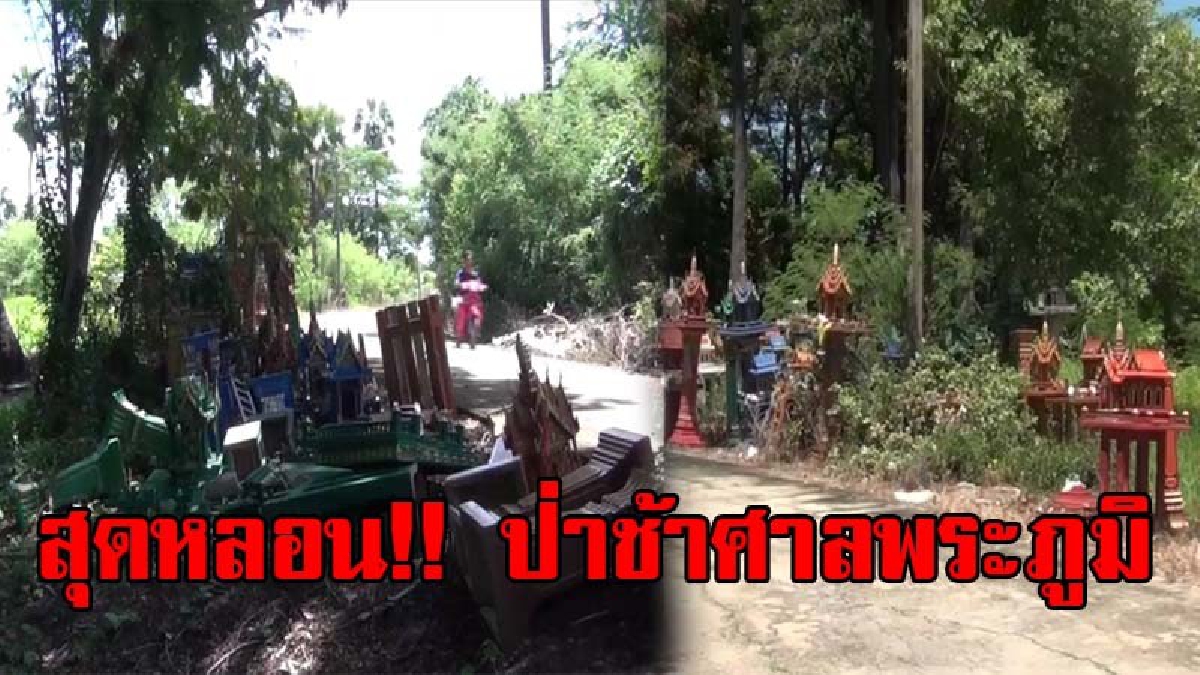ป่าช้าศาลพระภูมิ!? ชาวบ้านนำศาลพระภูมิ มากองทิ้งไว้ข้างถนนหลัง "ป่าช้า" วัดดัง กลายเป็นเส้นทางสุดหลอน ขับผ่านตอนกลางคืนมีผวากันแน่นอน (คลิป)