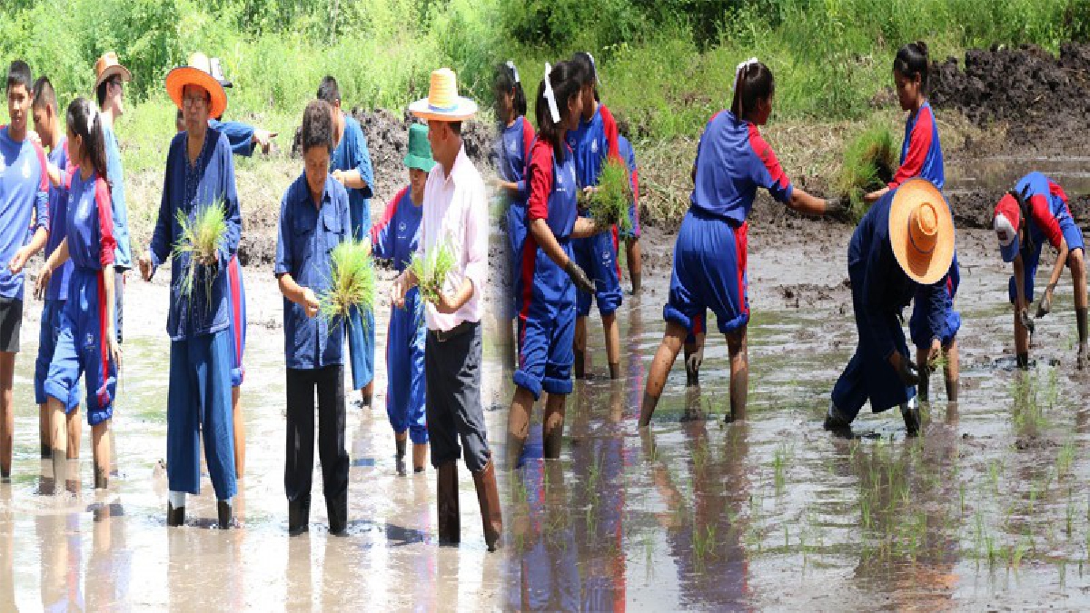 ลพบุรี!! ทำแปลงสาธิต ตามรอยพระบาท หยาดเสโท บรมนาถฯ รัชกาลที่ 9 เพื่อให้นักเรียนได้เรียนรู้วิถีชีวิต วัฒนธรรม ประเพณีพื้นบ้าน (มีคลิป)