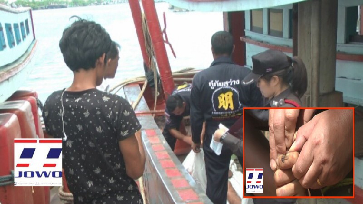 โคตรซวย!! หนุ่มต่างด้าววัย 28 มาหาเพื่อนลูกเรือประมง โชคร้ายถูกไฟดูดดับคาที่ (มีคลิป)
