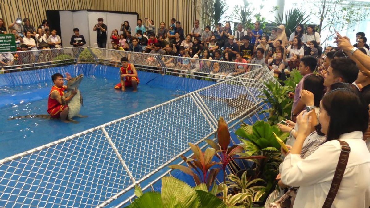 ปทุมธานี ปชช.พาครอบครัวเที่ยวงานประมงน้อมเกล้าฯพร้อมชมโชว์จระเข้ไททันกลางห้างฟิวเจอร์(ชมคลิป)