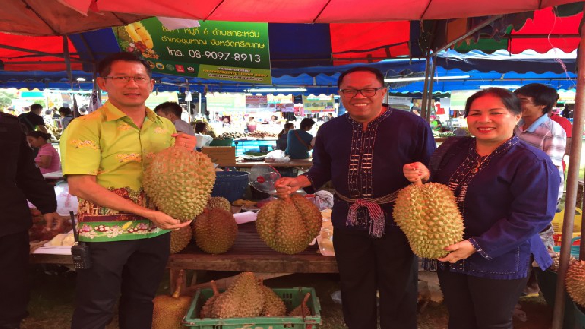 ศรีสะเกษ!!!3ราชนิกุลกัมพูชาร่วมพิธีเปิดงานทุเรียนภูเขาไฟขุนหาญ!!ผู้ว่าฯเตือนเจ้าของสวนทุเรียนอย่าทำลายชื่อเสียงของตนเอง นำทุเรียนไม่ดีออกมา