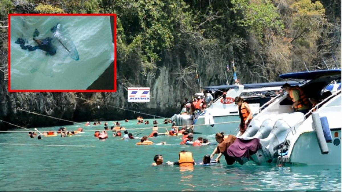 เตือนระวัง!! กระบี่เฝ้าระวัง "แมงกะพรุนไฟหมวกโปรตุเกส" หลังพบโผล่บริเวณเกาะไหง แหล่งท่องเที่ยวเปิดอุทยานแห่งชาติหมู่เกาะลันตา (มีคลิป)