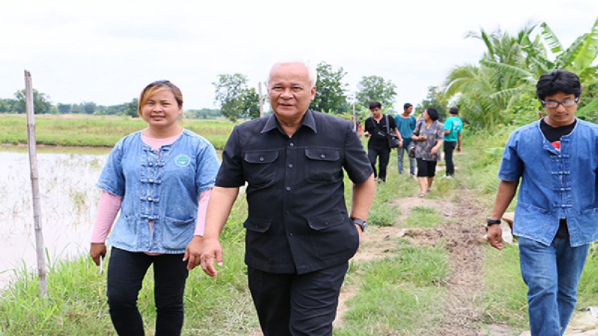 ชาวนาพิจิตร เรียนรู้ศาสตร์พระราชา เลิกใช้สารเคมีรวมตัวสมัครเข้าโครงการส่งเสริมการผลิตข้าวอินทรีย์ของกระทรวงเกษตร (มีคลิป)