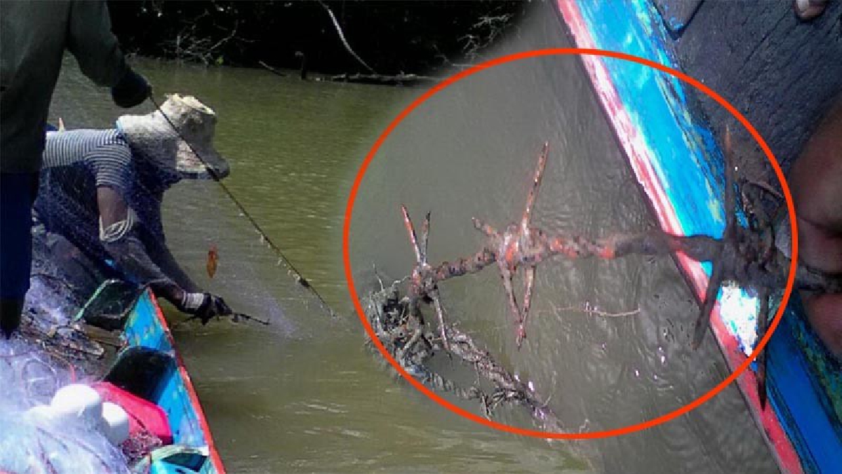ชาวประมงร้องสื่อ!!แฉนายทุนอ้างเป็นเจ้าของคลองสาธารณะ สั่งห้ามเข้าทำกิน พร้อมวางรั้วลวดหนามใต้น้ำ อวนชาวบ้านเสียหายยับ (มีคลิป)