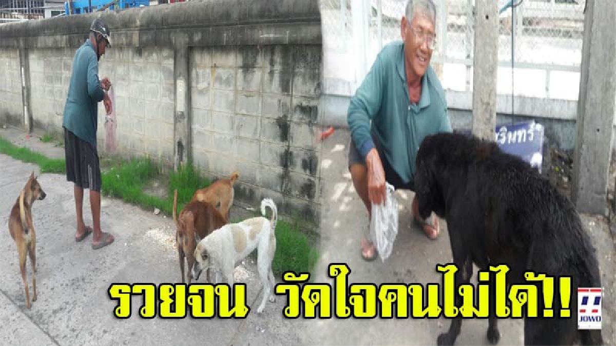 จนแต่รวยน้ำใจ!! ทหารเกษียณใจบุญ ขี่จยย.ตระเวนเลี้ยงสุนัข-แมวจรจัดหลายร้อยชีวิตทั่วเมืองสุรินทร์ ทุกวัน นานกว่า 27 ปี (ชมคลิป)