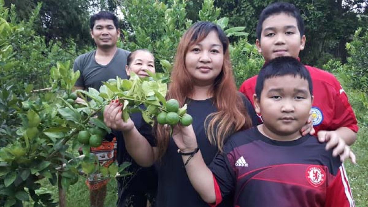 สุดยอดไอเดีย!! 2สามีภรรยา เกษตรกรคนรุ่นใหม่ ไอเดียสุดเจ๋งปลูก "มะนาวแป้นรำไพ" ในยางรถยนต์ ลดรายจ่ายแทนการใช้บ่อซีเมนต์ที่มีราคาแพง (มีคลิป)