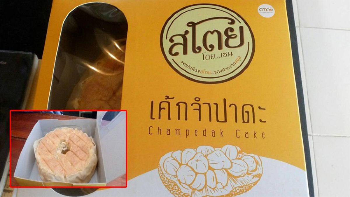 ไอเดียเจ๋ง!!  นำผลไม้กลิ่นฉุน "จำปาดะ" ทำเค้ก สาวหัวใสต้องการเผยแพร่ผลไม้ท้องถิ่นจ.สตูล บอกเลยทั้ง สด อร่อย ไม่ลองไม่ได้แล้ว!?