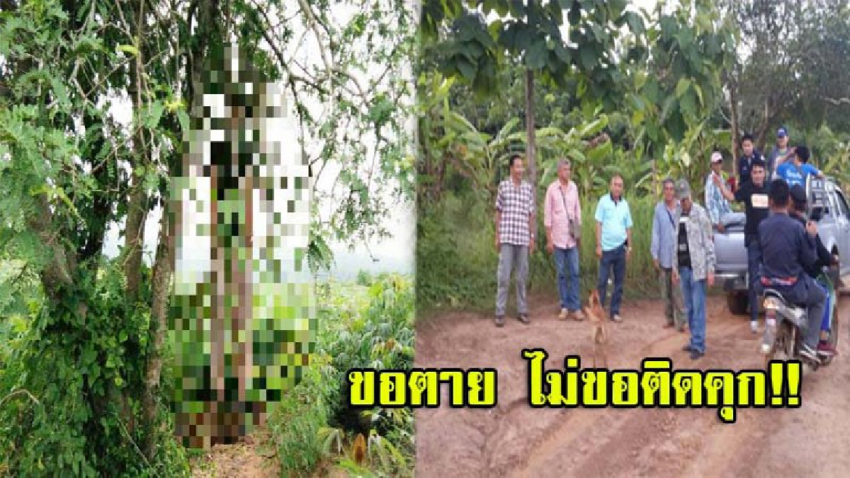 เวรกรรม!! อดีตผัวคลั่งบุกแทงเมียดับ หนีเข้าป่านานกว่า 4 วัน พบเป็นศพผูกคอตายหนีความผิดใต้ต้นมะขามในป่าท้ายหมู่บ้าน