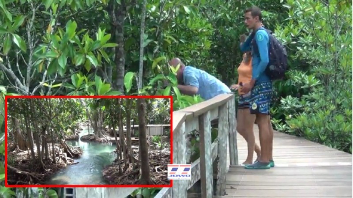 ถึงกับร้องว้าว!! นทท.แห่ชมท่าปอมคลองสองน้ำ แหล่งท่องเที่ยวอันซีน หนึ่งในเส้นทางถ่ายทำ MVเพลง “คนละชั้น” ล่าสุดมียอดผู้ชมกว่า 8 ล้านวิว(คลิป)