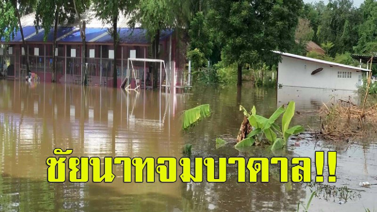วิกฤต!! ฝนตกหนัก น้ำคลองชลประทานล้นตลิ่ง ไหลท่วมบ้านเรือนปชช. ไร่นากว่า 5 พันไร่ จมมิด รร.สั่งปิดไม่มีกำหนด