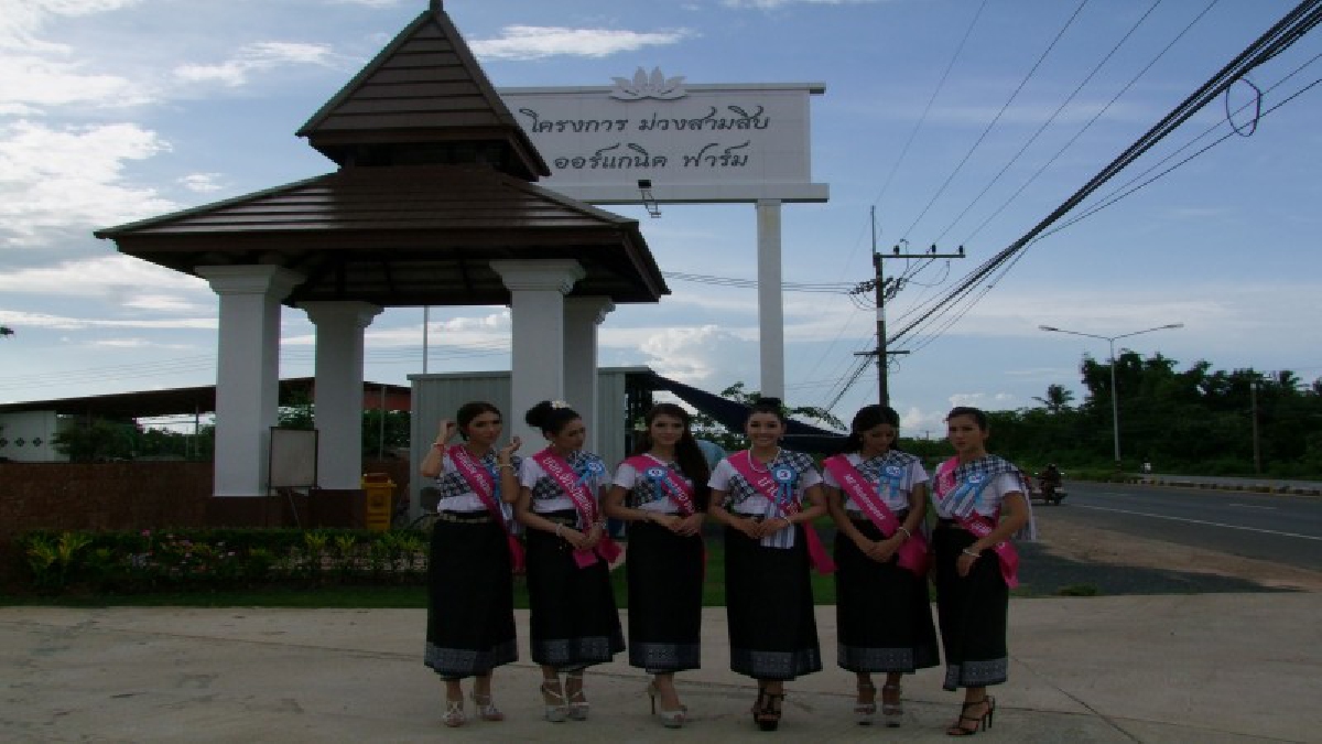 อุบลราชธานี!! ผู้ประกวดนางงามเทียนพรรษา ลงพื้นที่ ช่วยส่งเสริมด้านการท่องเที่ยวเชิงเกษตรอินทรีย์ (มีคลิป)