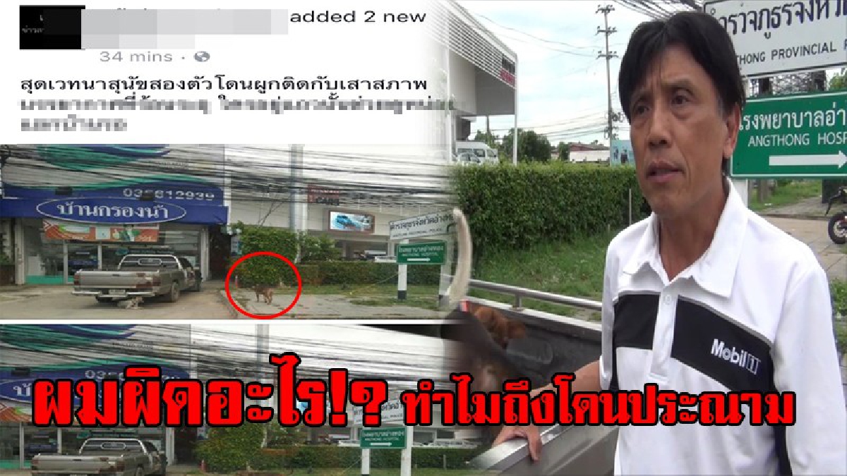 คิดสักนิดก่อนแชร์!? ชายวัย 58 เป็นคนรักสัตว์แต่ต้องกลายเป็นคนเลวทรมานสัตว์ เพียงเพราะมีคนถ่ายรูปสุนัข ที่ผูกไว้หน้าร้านแล้วแชร์!?