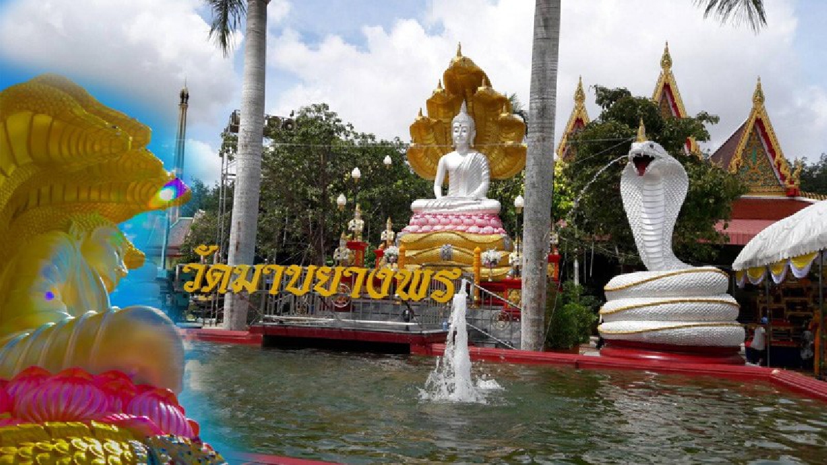 ความเชื่อ!? พระเกจิดังตะวันออกเบิกเนตรและนั่งปรกอธิษฐาน จิตหลวงพ่อขาวนาคปรก วัดมาบยางพร ในวันเข้าพรรษาท่ามกลาง ปชช.จำนวนมากร่วมพิธี (มีคลิป)