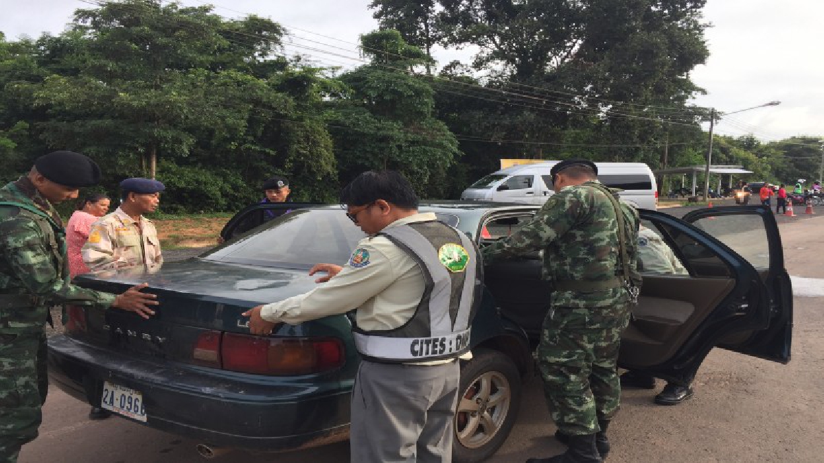 ทหาร-ตร.ศรีสะเกษตรวจเข้มเขมรทะลักเข้ามาหาซื้อสินค้าช่องสะงำ ป้องกันมิจฉาชีพฉวยโอกาสช่วงวันหยุดยาวลักลอบขนสิ่งผิดกม.เข้าเมือง (คลิป)