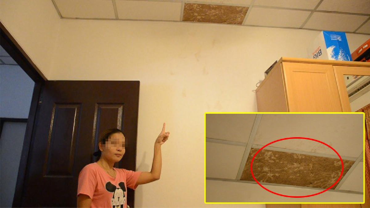 เกือบเนียน!? โจรอุดรฯ เปิดหลังคา โรยตัวจากฝ้าเพดาน ปล้นบ้านเมียฝรั่งเมืองผู้ดี ได้ไปแค่ "กระปุกออมสิน" ดันซวยปิดฝ้ากลับด้าน โป๊ะแตก!? (คลิป)