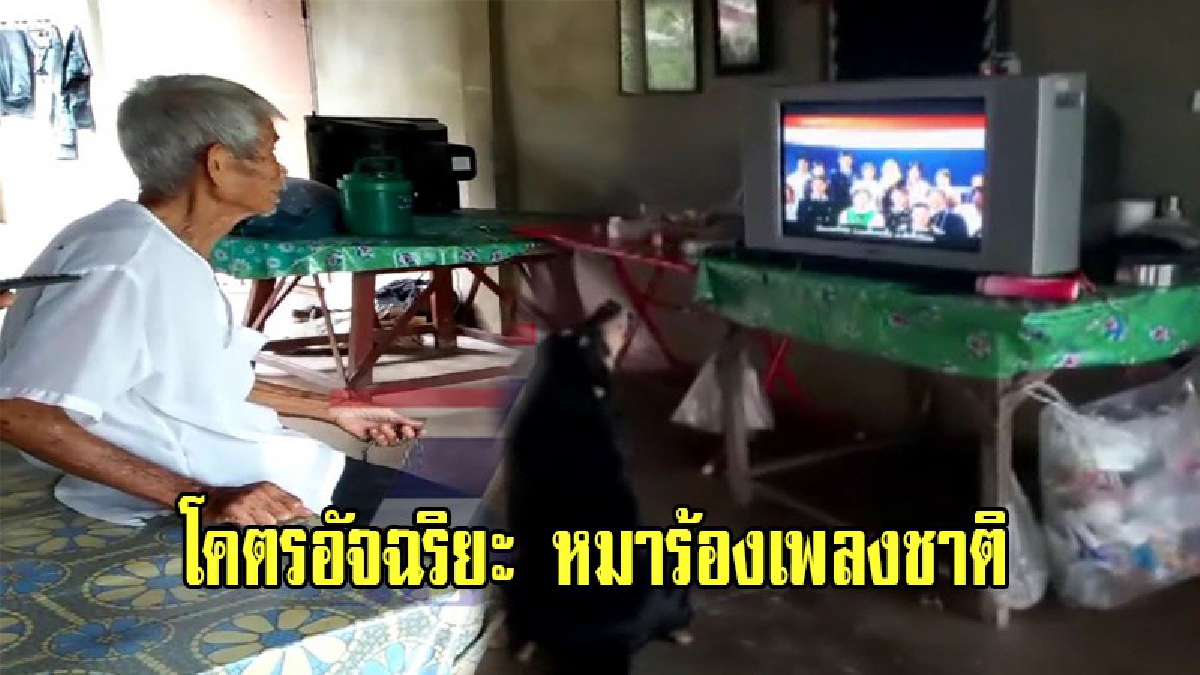 โคตรอัจฉริยะ!!คลิปสุดทึ่งเจ้า“ฉลาม” สุนัขพันธุ์ไทยแสนรู้ ร้องเพลงชาติไทยมา 8 ปี ทั้งเช้า-เย็น ไม่เคยขาด เสียงตรงคีย์ตั้งแต่ต้นจนจบด้วย(คลิป)