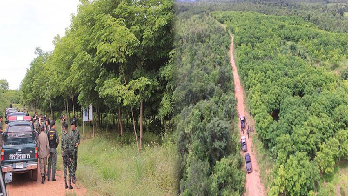 เอาคืนให้หมด!! จนท.สนธิกำลัง ตรวจยึดสวนยางพารา หลังมีนายทุนรายใหญ่ บุกรุกพื้นที่ป่าสงวนแห่งชาติกว่า 115 ไร่ มูลค่าความเสียหาย 7,840,740 บาท