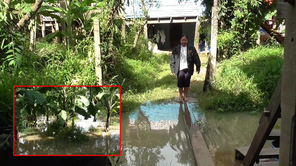 เจอจนท้อ!? น้ำล้นตลิ่งไหลท่วมสวนกล้วยพังยับ ชาวบ้านบ่นเจอทุกปีแต่ไม่รู้จะทำอย่างไร นายอำเภอเร่งประสานงานเตรียมพร้อมเข้าช่วยเหลือ!? (คลิป)
