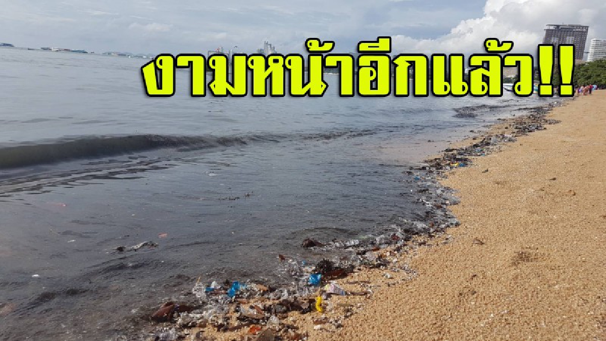 งามหน้าอีกแล้ว!! นทท.ต่างชาติโวย น้ำเสียถูกปล่อยลงทะเล ส่งกลิ่นเหม็นคลุ้งทั่วหาดพัทยา วอนหน่วยงานตรวจสอบด่วน (มีคลิป)