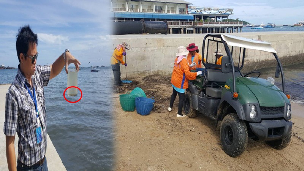 เร่งมือ..ฟิ้นฟู!? จนท.พัทยาพร้อมทหารลงพื้นที่ ทำความสะอาด บริเวณชายหาด หลังโดนโซเชียลปล่อยภาพ "น้ำทะเลสีดำ" และขยะจำนวนมาก (มีคลิป)