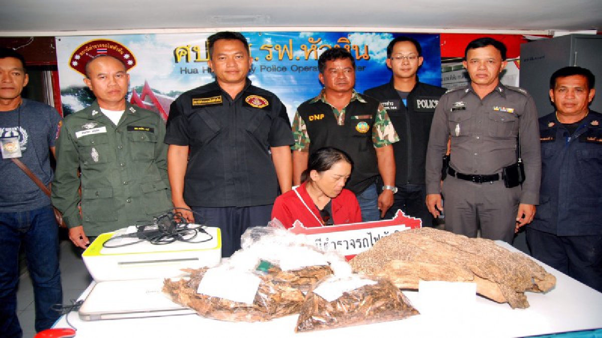 รวบคาที่!! ตำรวจ - ป่าไม้ รวบสาวใหญ่แอบลักลอบขนไม้กฤษณาค่านับล้านบาททางรถไฟ ส่งนายทุน