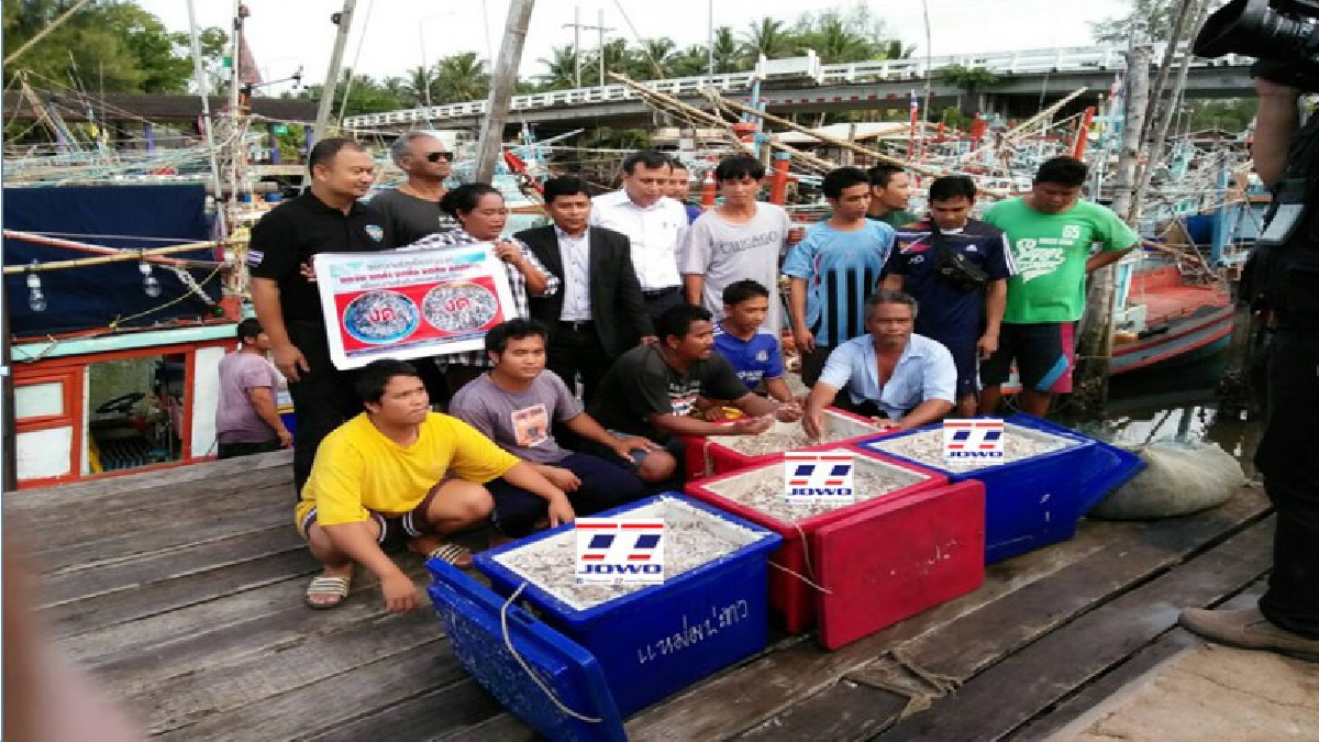 ชุมพร!! ประมงชุมพรจัดชุดเคลื่อนที่เร็วลงพื้นที่ ตรวจสอบเครื่องมือประมง จับลูกปลาทู หลังมีคนโพสต์ มีลูกปลาทูตากแห้งขาย (มีคลิป)
