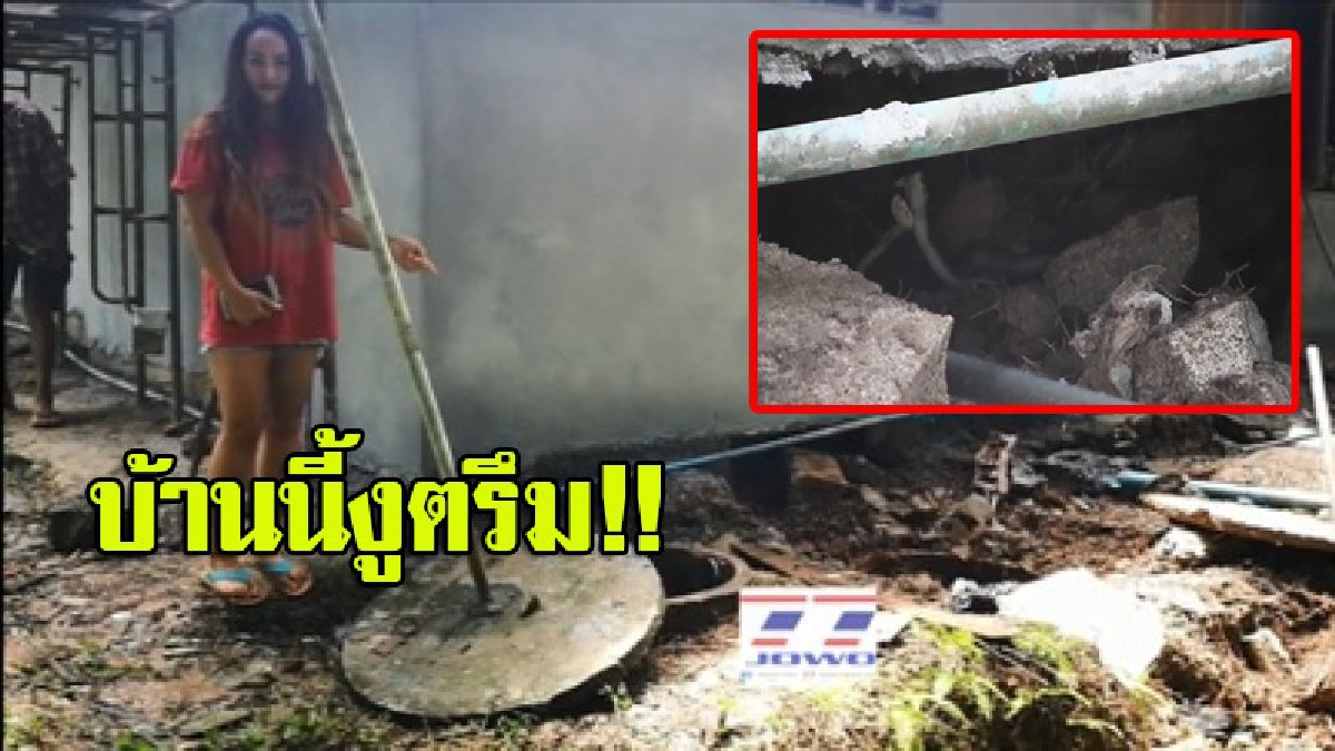 ชูคอรอเลย!! สาวผวาหนัก ฝูงงูเห่าโผล่โถสวม 7 ตัว ล่าสุดพบอีก 1 แผ่แม่เบี้ยขู่ ในโพรงใต้พื้นห้องน้ำ (คลิป)